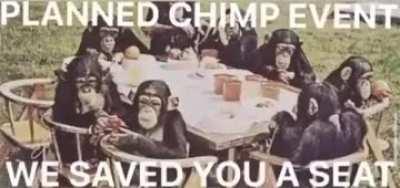 Have all the apes arrived?