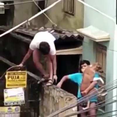 That wholesome rub on the back of the dog after being rescued from the flood