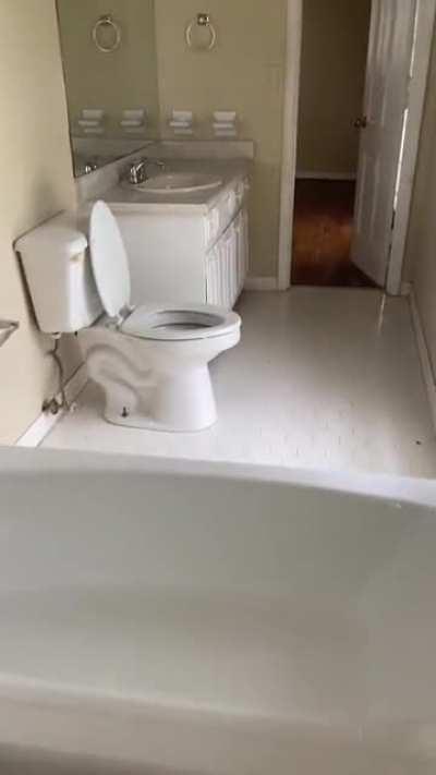Two toilets separated by a bathtub.