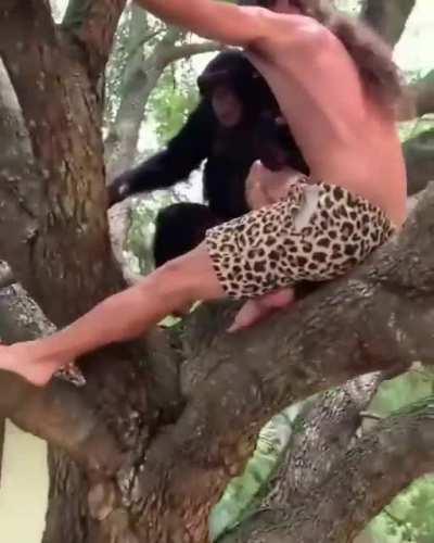 Strength of a Chimpanzee