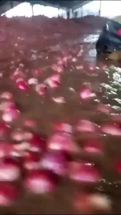 Flowing Onions in a flood