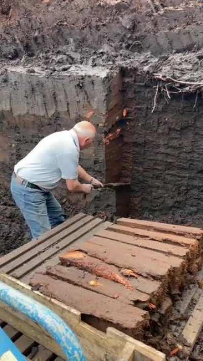 100 year old digging technique