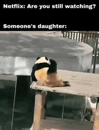 Panda doing scratches