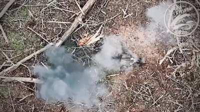 Ukrainian drone drops grenade on Russian soldier. It appears to explode at face/chest level sending him flying backwards. Footage of monkeys inserted by unit as posted to their telegram. 503 Separate Marine Corps Battalion. February 2024.