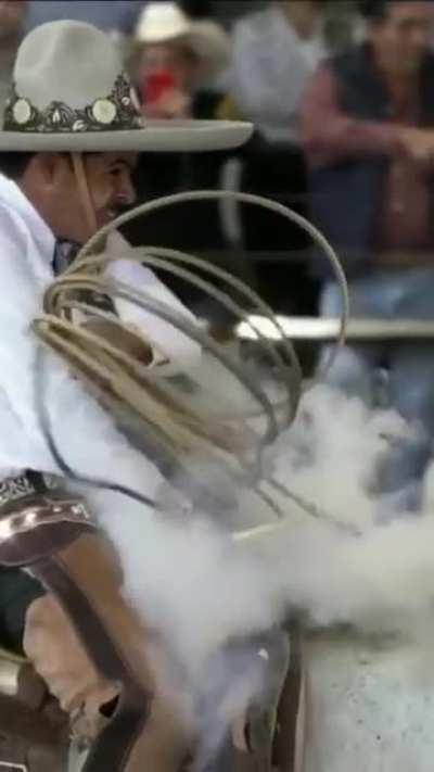 Cowboy throwing lasso on a strong bull