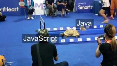 Java vs JavaScript