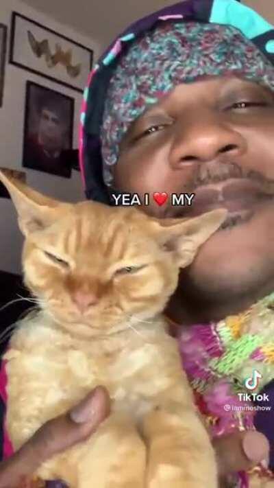 This cat is my mood