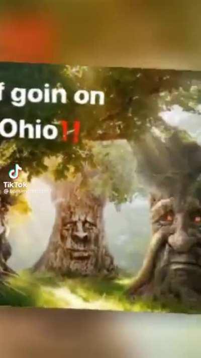 Ohio trees