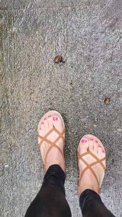 Strappy sandals crush snails 