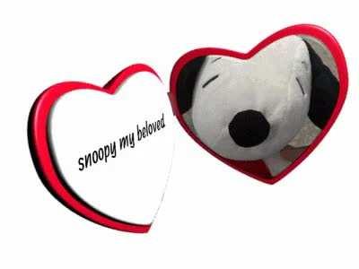 i am a certified snoopy lover