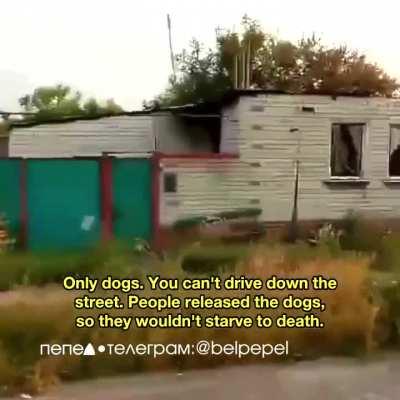 A resident of Bezymeno in Russia's Belgorod region shows what it's like to live in a war zone. Locals flee, leaving houses empty due to daily arrivals. Starving dogs roam, there is no electricity or authority, and marauders' rampage is unchecked by the po