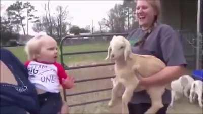 Goat and Baby have a proper conversation