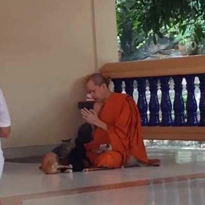 This monk has passed the hardest concentration test!