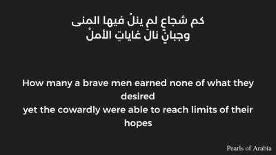 Translation of a famous poem by the famous poet Ibn al-Wardi an Arabian historian and poet that was popular in the 12th century (691-749HA)