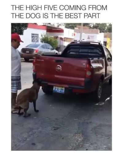 Dogs are the best people!!