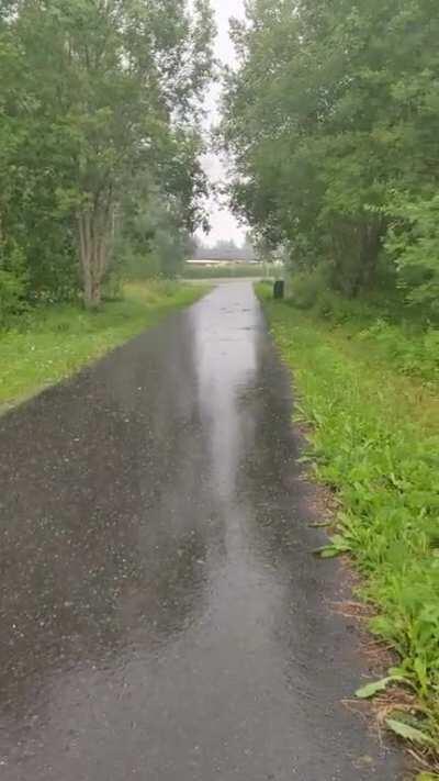 Caught in a hailstorm, Southern Finland