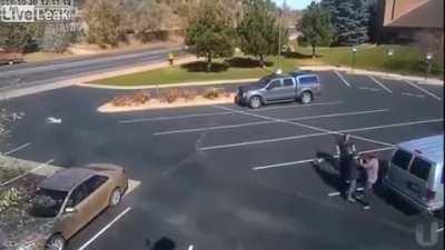 Pitbull Attacks a Little Girl in a School Parking Lot