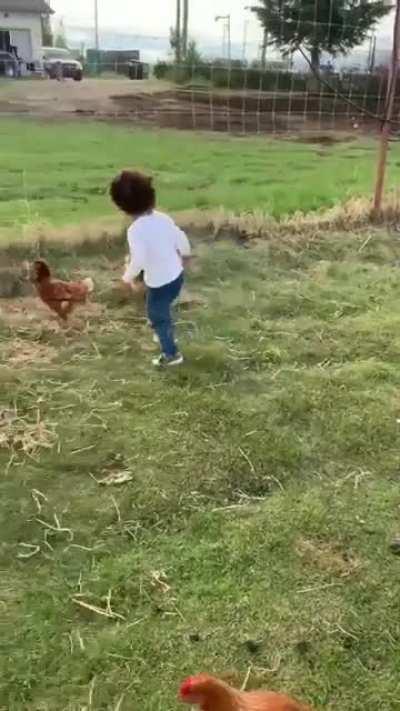 His First time seeing Chickens