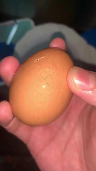 A store bought egg