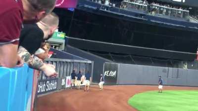 Silly humans struggle to catch Yankee Stadium cat