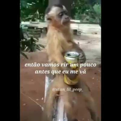 o macaco ta tiste fumando maconha😞😞😞😞😞😞😞😞😞