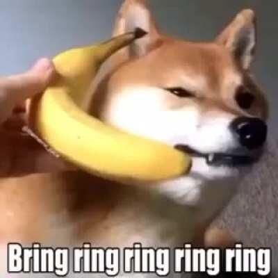 Banana Phone