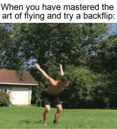 flying flip