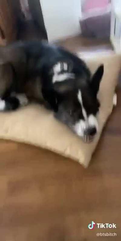 guess he doesn't like playing that game