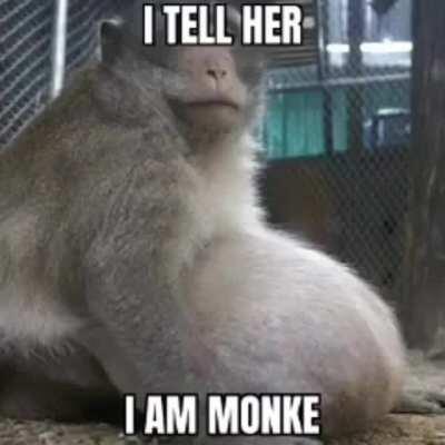 I'm monke!