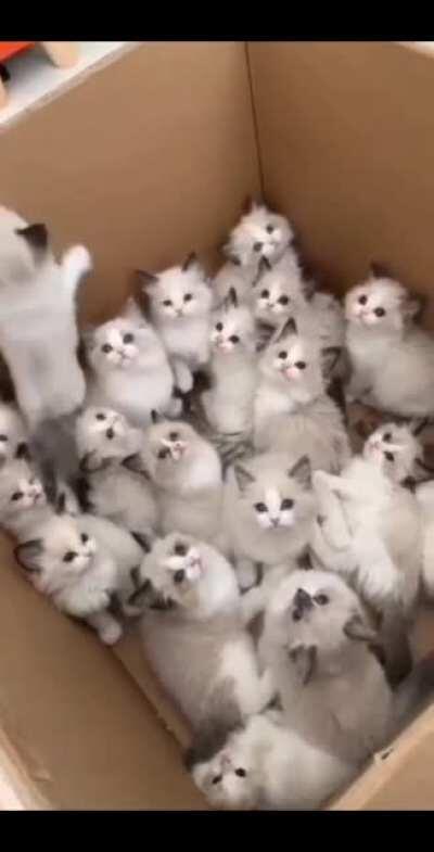 Box full of happiness