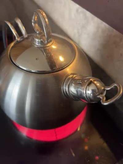 Thrift store kettle has quite the sound