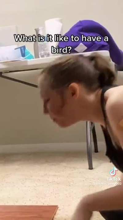 Bird Won’t Let Owner Have Beer