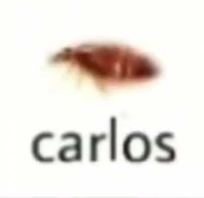 carlos