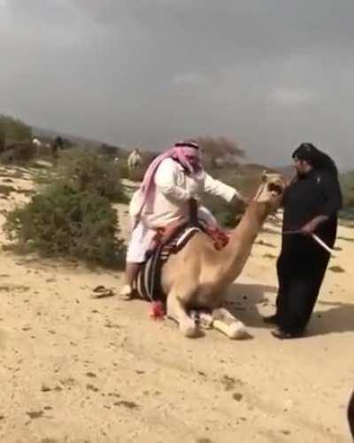 HMF while I rock the casbah