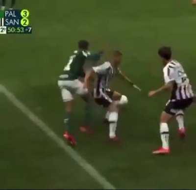 palmeiras - Video #8428