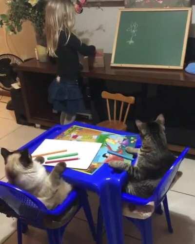 Little girl teaching her cats how to draw a flower