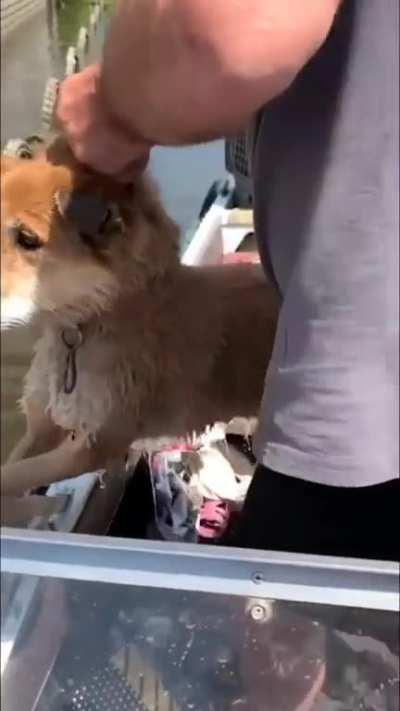 Volunteers from the occupied Golaya Prystan go above and beyond to rescue animals impacted by the destruction of the Kakhovka dam. As the waters recede and more abandoned animals are found, the situation becomes even more dire.