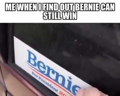 Berne sanders 2024