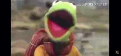 Kermit dies in a tragic bike accident