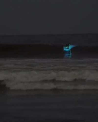 Bioluminescent algae in the beaches of California