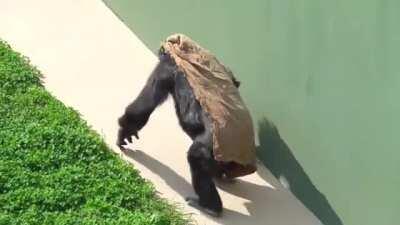 48 year old lady Nene, wearing her shawl and climbing up the hill to enjoy some time in the sweet sun