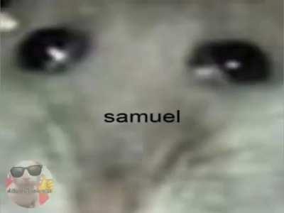 Samuel