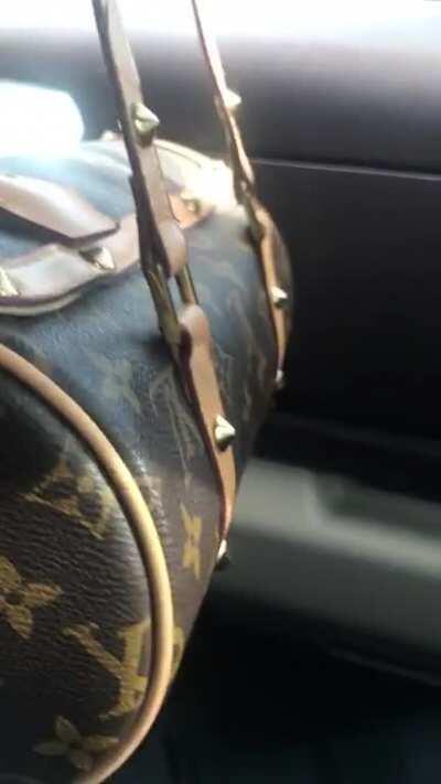 what louis vuitton bag is this, & does it look real?