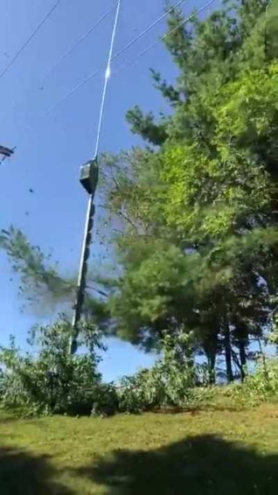 Helicopter with massive chainsaw does some trimming