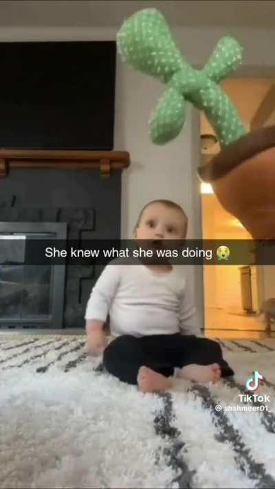 Singing cactus scares baby