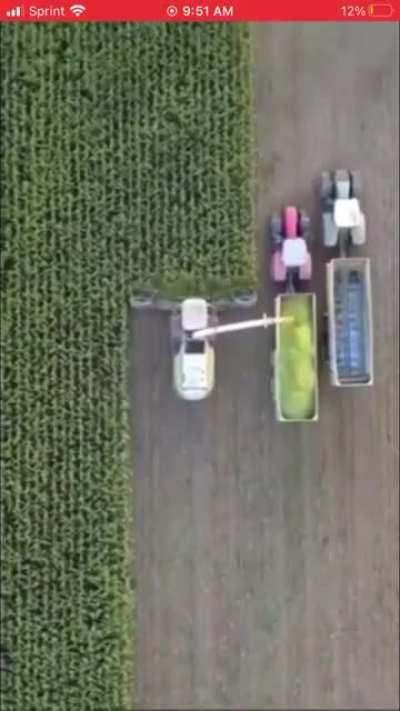 The way these farmers harvest