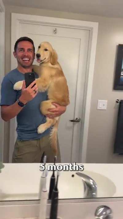 Puppy transforms into a teenager in 20 seconds!