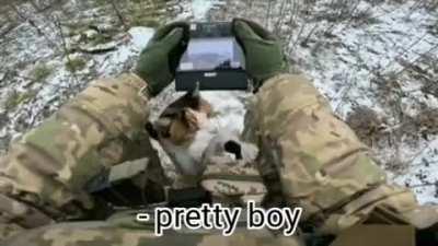 Cat climbs on a Ukrainian soldier operating a drone