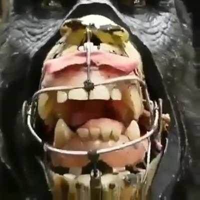 Robo Gorilla gonna eat your face