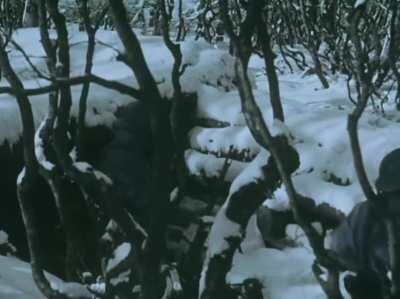 Operation Judgement: The opening day of the battle of Verdun. (Taken from the documentary series, Apocalypse: World War One)